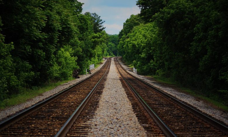 yurtdisina tasinma rehberi 2